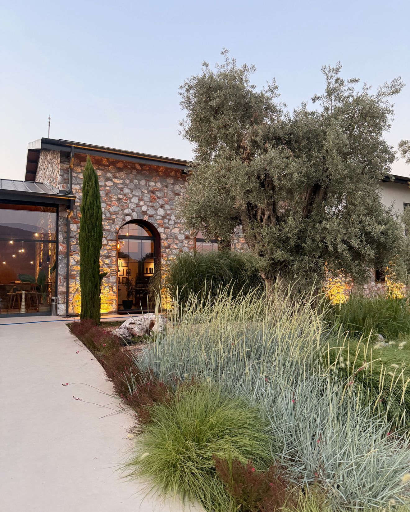 A stone building with arched windows and an old olive tree at dusk, at the producer’s in Milas