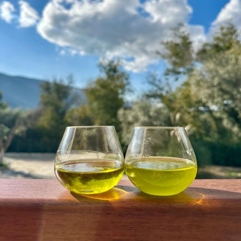 Two small glasses of olive oil on a wooden rail in Milas, olive trees and hills behind